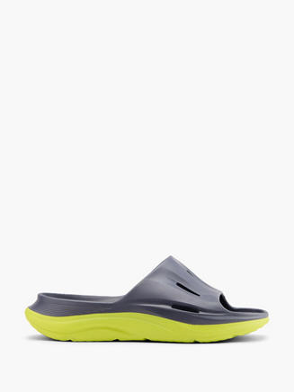 Blue Fin Slides