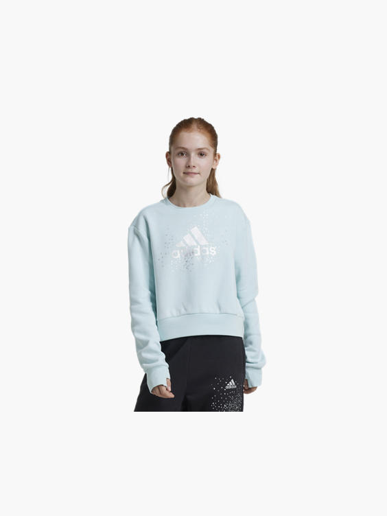 Adidas mint sweatshirt hotsell